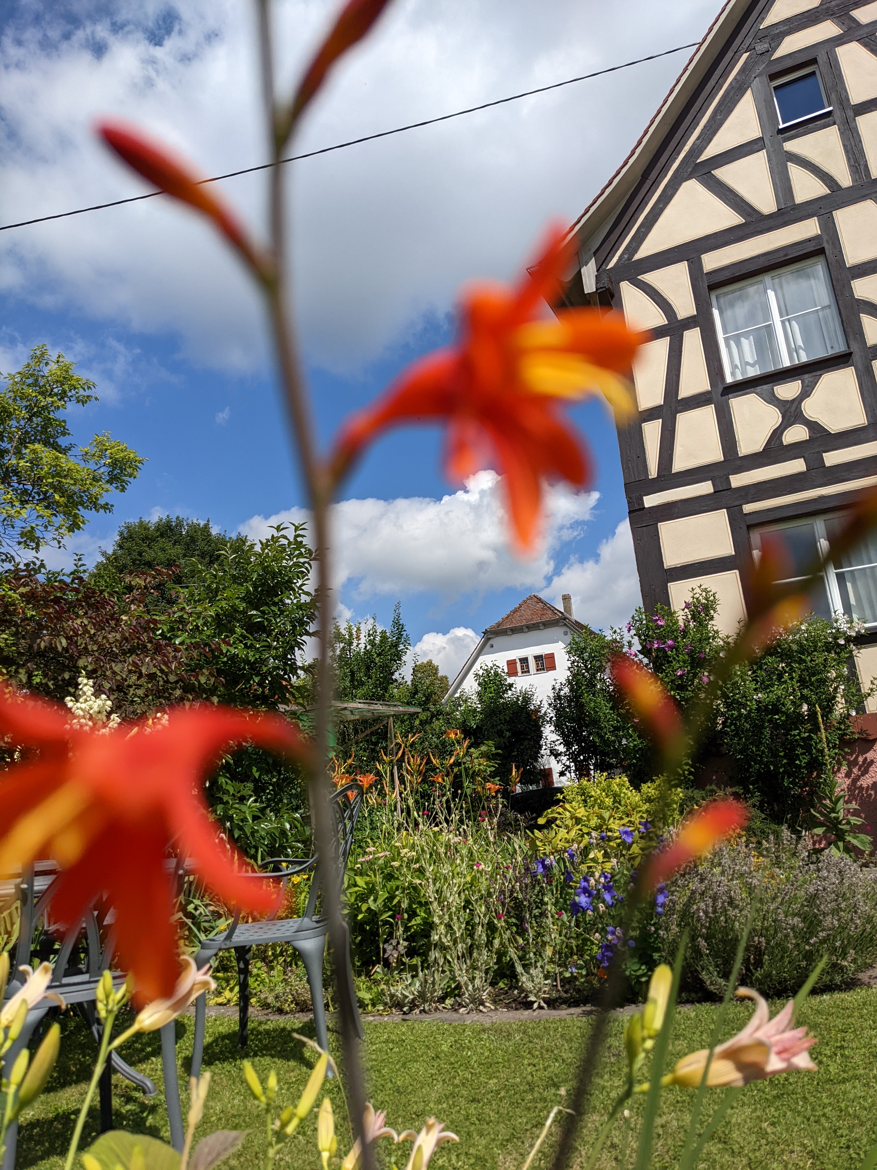 Red lilies framing the flower garden at Villa Salem on a sunny day