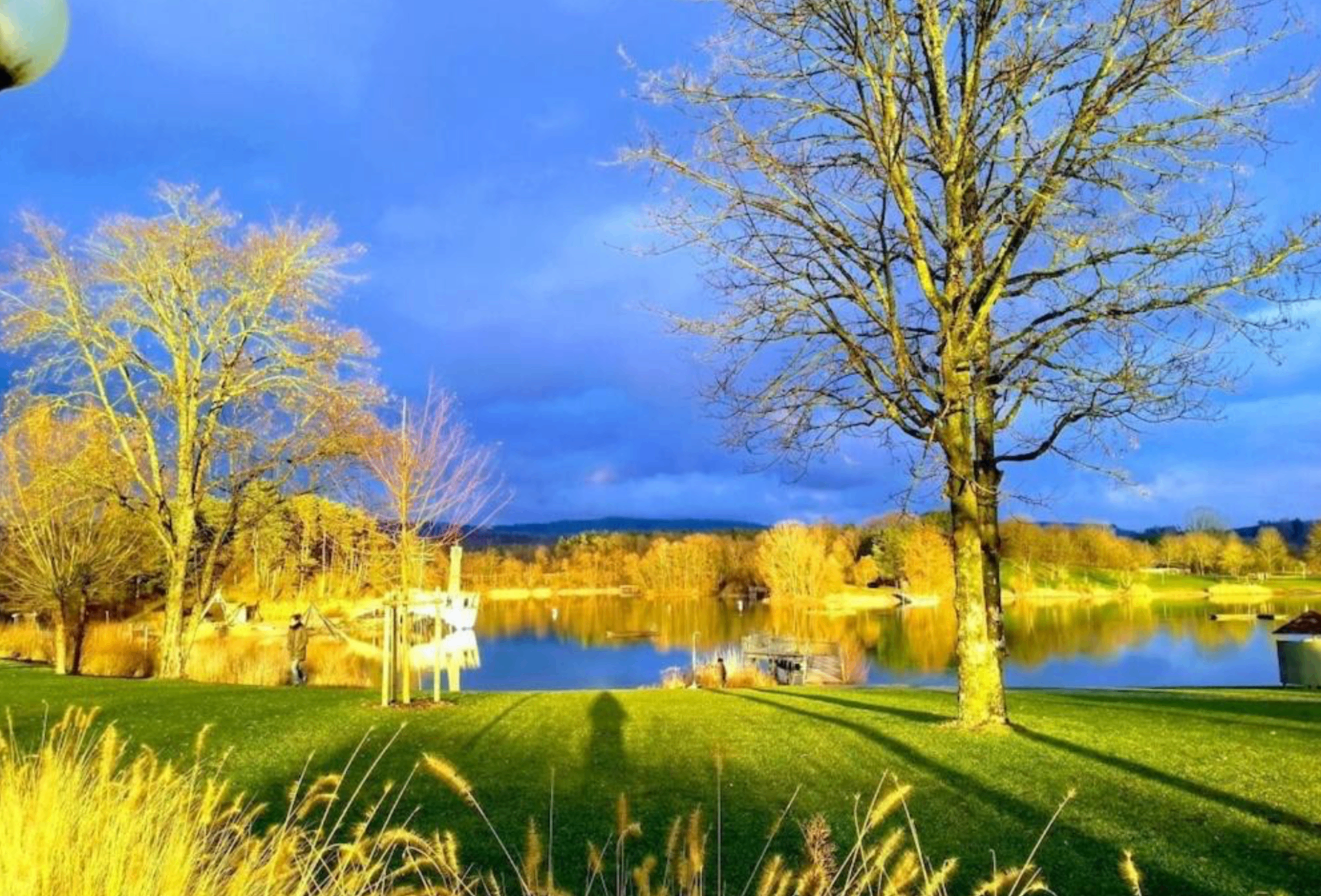 Idyllic Schlosssee lake near Salem with pedal boats